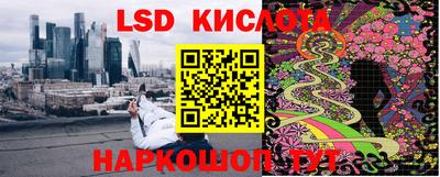 ГАЛЛЮЦИНОГЕННЫЕ ГРИБЫ Обнинск