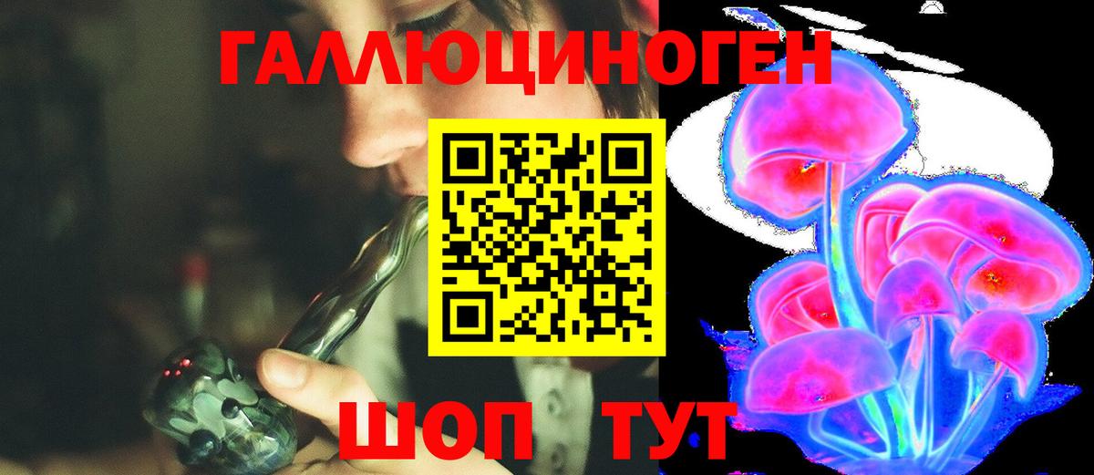 Псилоцибиновые грибы Psilocybine cubensis Сарапул